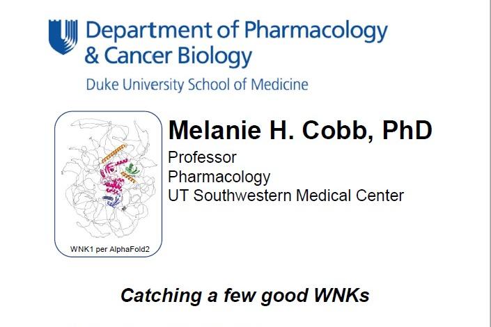 Melanie Cobb, PhD 102324 flyer